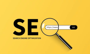 Entry-Level SEO Interview Questions with Real Examples.