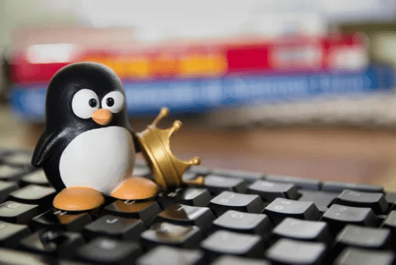 Why Linux Is More Popular in India Than You Think